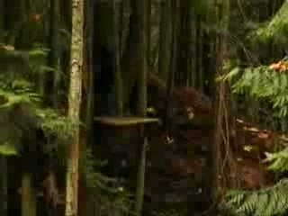 [MTB] CKD - Back In The Saddle ( Teaser )  [Goodspeed]