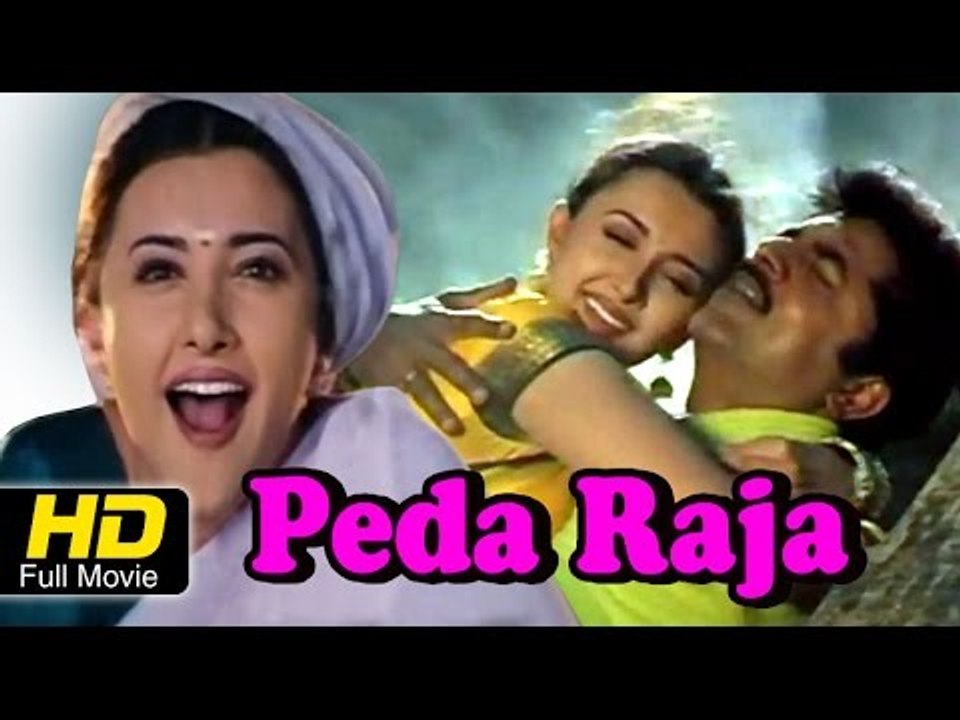 Peda Raja Telugu Full HD Movie | #Romantic Drama | Shakshi Shivanand, Abbas | New Telugu Upload