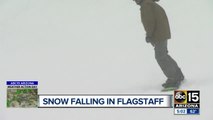 Snow falling in Flagstaff