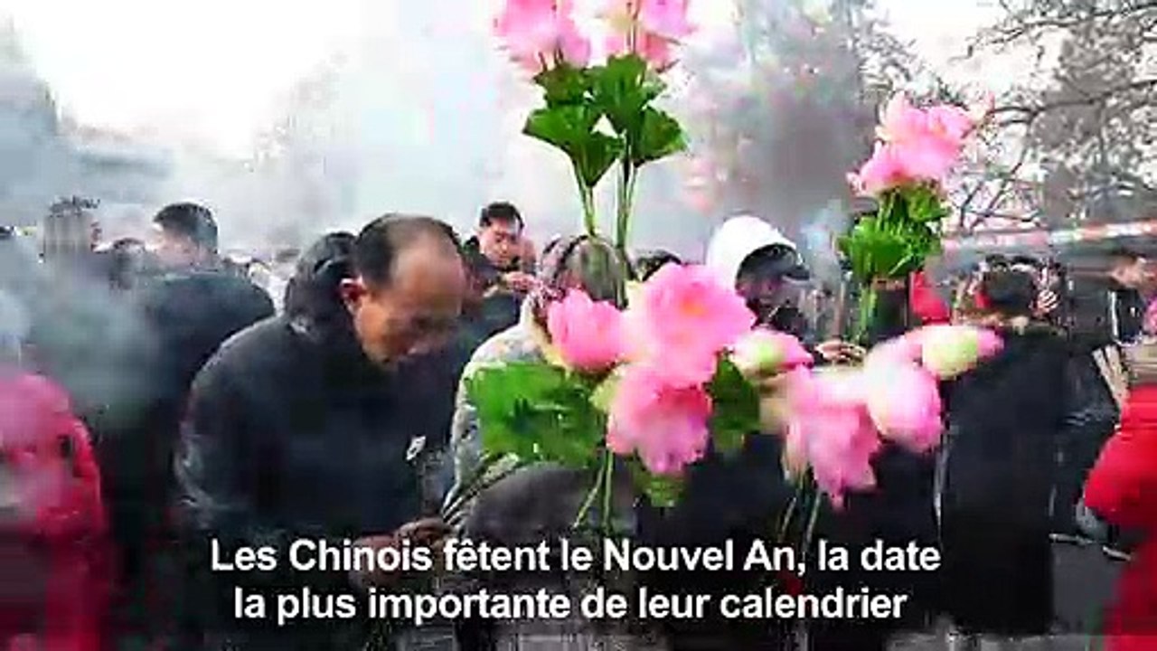 les communautés chinoises fêtent l'année du cochon
