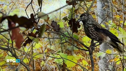 014 Путешествие по Валдайскому краю