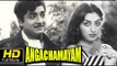 Angachamayam Malayalam Full HD Movie | #Drama | Prem Nazir, Swapna | Super Hit Malayalam Movies