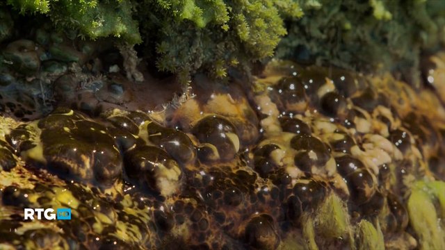 016 Заповедник Утриш