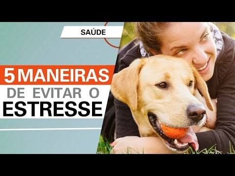 5 maneiras de evitar o estresse