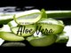 Aloe Vera: descubra os benefícios da planta! - [MALU SUPER MULHER]