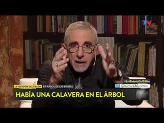 La Historia del Sillón: ¿Quién puso a Bella en el árbol de las brujas?