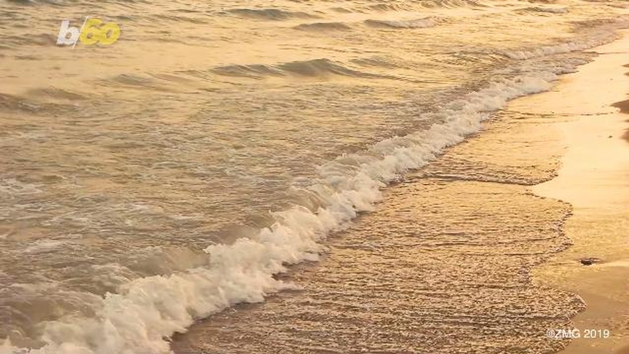 Woman's Hilarious Obituary Has Her Claiming She's Getting The ‘Smoking Hot Body' She Wanted After Cremation