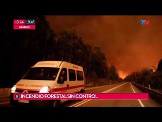 Incendio fuera de control en Portugal: 64 muertos
