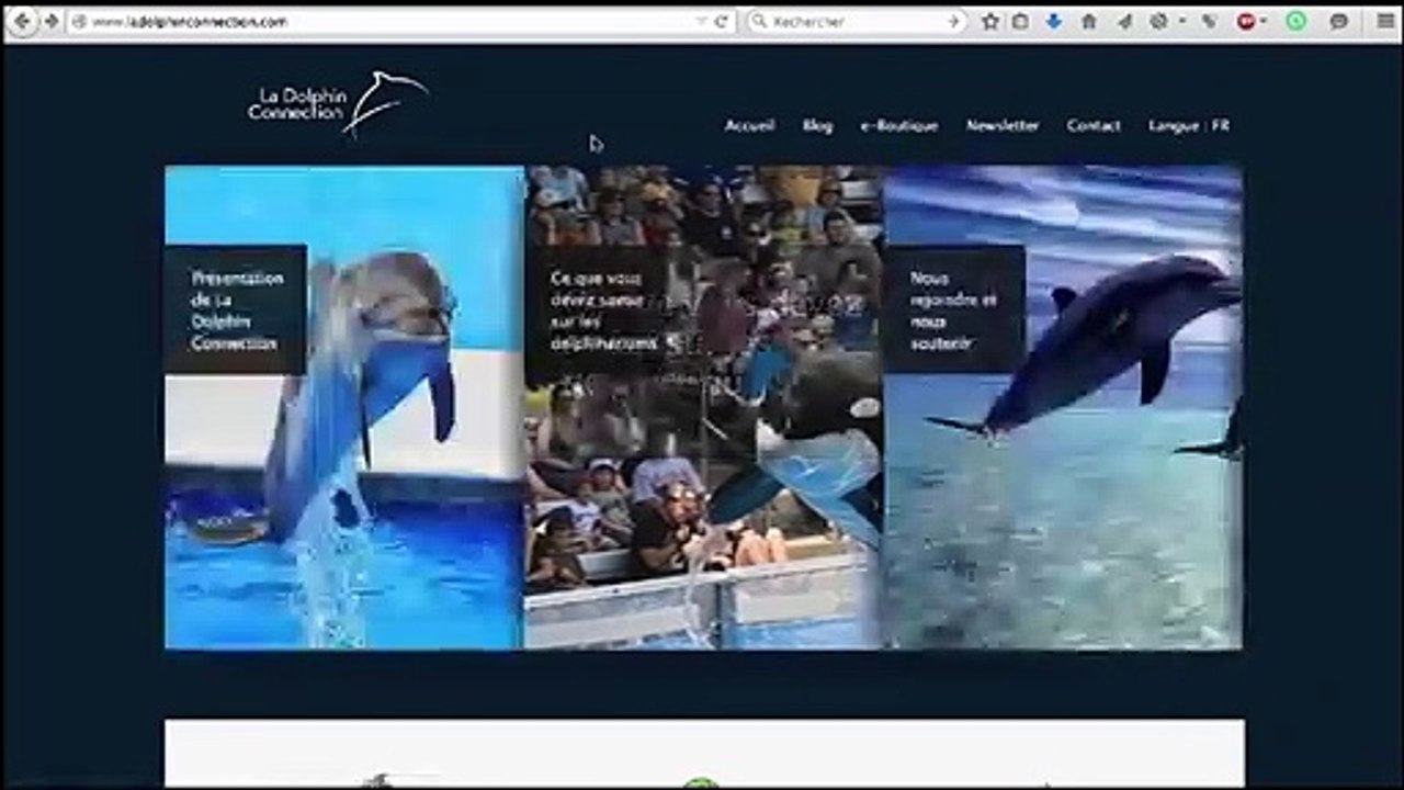 Formation WordPress en Vidéo