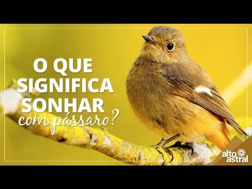 O que significa sonhar com pássaro?