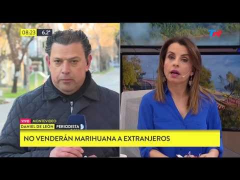 Hoy arranca en Uruguay la venta de marihuana con fines recreativos en farmacias