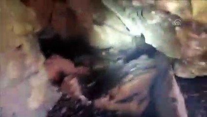 Diyarbakır'da silah ve mühimmat ele geçirildi