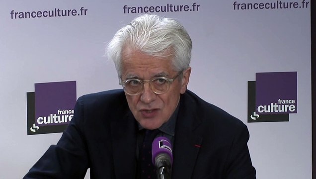 Pascal Perrineau : La question de l'immigration n'est pas au cœur du Grand débat national