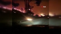 - Şili’de Orman Yangınları Nedeniyle OHAL İlan Edildi