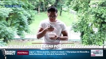 La chronique d'Anthony Morel : Journée mondiale sans portable, tous accros ! - 06/02