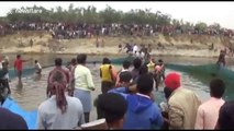 Indian villagers battle to save endangered dolphin stuck in irrigation canal