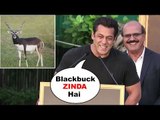 Salman Khan's FUNNY Reaction On His Blackbuck/Deer Case At Tiger Zinda Hai Promotions