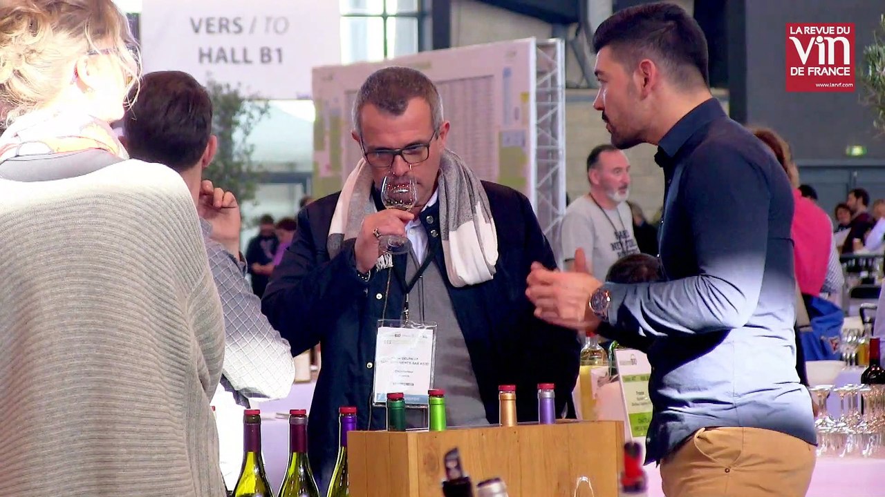 Coup de cœur pour un chablis bio d'une pureté cristalline