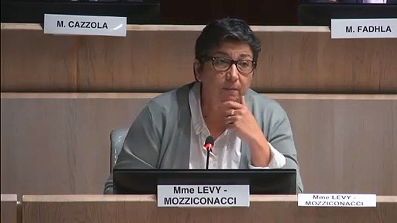 Annie LEVY-MOZZICONACCI s'oppose à l'urbanisation excessive à Marseille