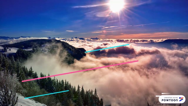 Fall Clean Up Services in Calgary, Alberta