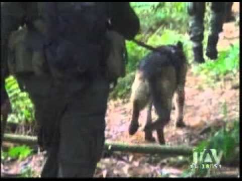 Descubren cargamento de explosivos en la frontera entre Ecuador y Colombia