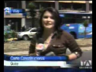 corte constitucional