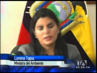 Se realizarán operativos para evitar la venta de palma de cera