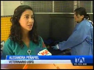 Este osito de anteojos se salvó de morir