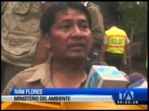 Rescate de animales silvestres en Esmeraldas