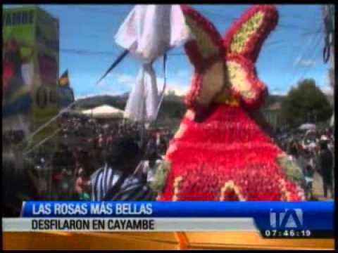 Las rosas más bellas desfilaron este fin de semana en Cayambe