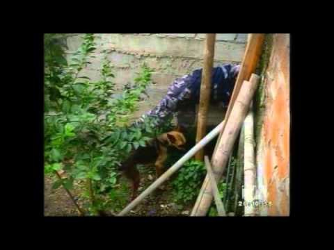 Operativo en Guayaquil deja nueve personas detenidas