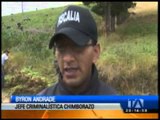 Destruyen plantaciones de amapolas en el centro del país