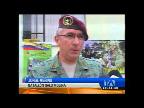 Combustible, armas y municiones incautadas en la frontera con Colombia