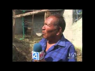 Osezno recuperado hace 10 días fue traslado a un centro de recuperación en baños