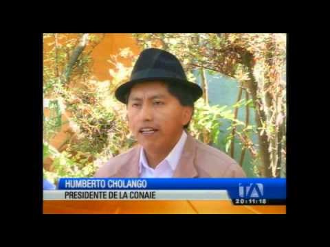 Organizaciones indígenas piden consulta popular para definir el futuro del Yasuní