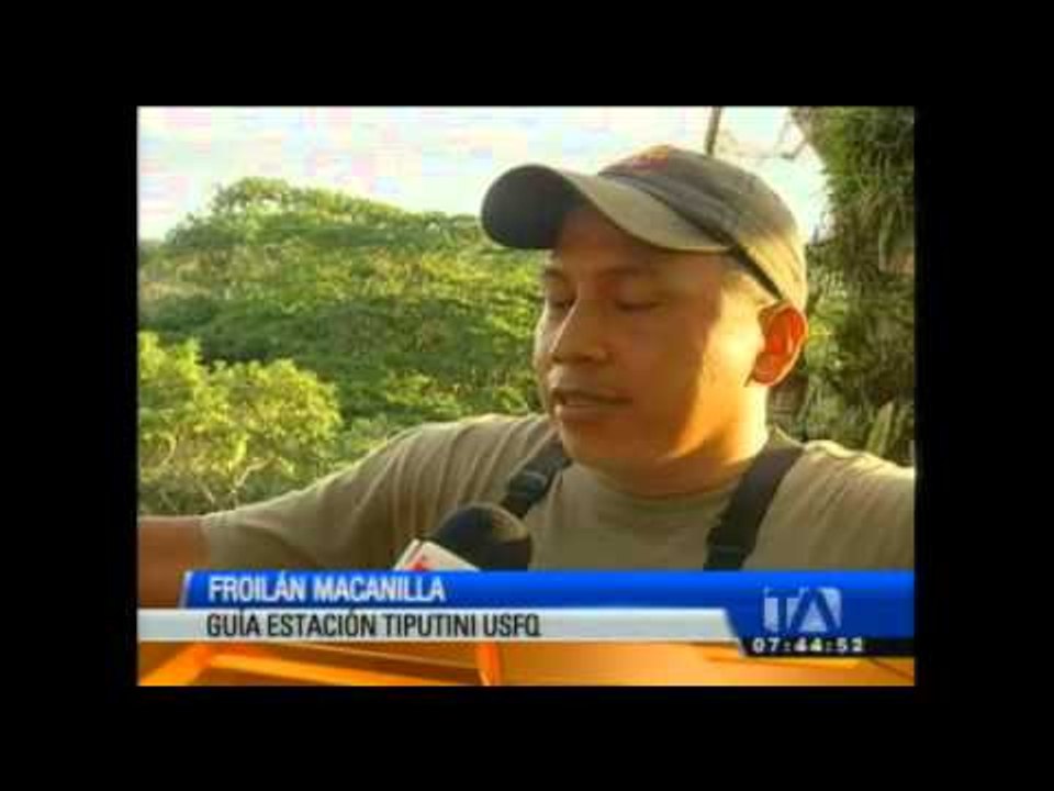 Yasuní, el último paraíso de la amazonia ecuato...