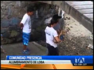 Una loba de mar herida parió un lobezno prematuro