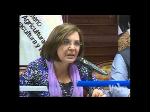 El precio del litro de leche sube a 80 centavos