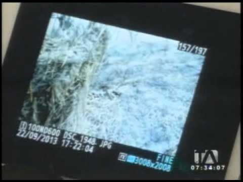 Alcalde Barrera presentó fotografías que confirman que incendios forestales fueron provocados