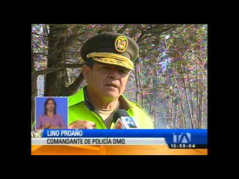 21 hectáreas del Parque Metropolitano fueron destruidas por el fuego