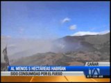 Al menos 5 hectáreas del bosque protector de Zhuan fueron consumidas por el fuego