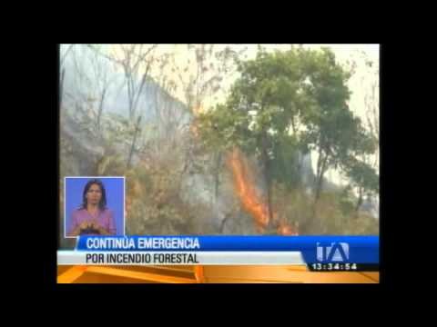Continúa emergencia por incendio forestal en El Oro
