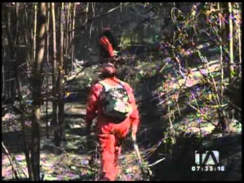 Varios incendios azotaron a Quito este fin de semana