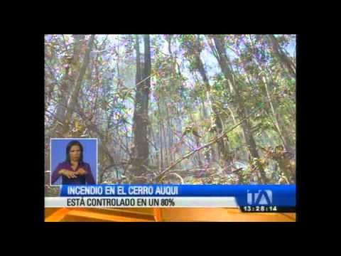 Continúa el incendio forestal en el cerro Auqui de Quito