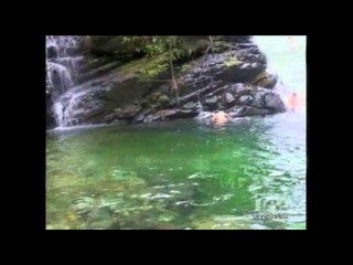 ¿No sabes qué hacer en el feriado? (2)