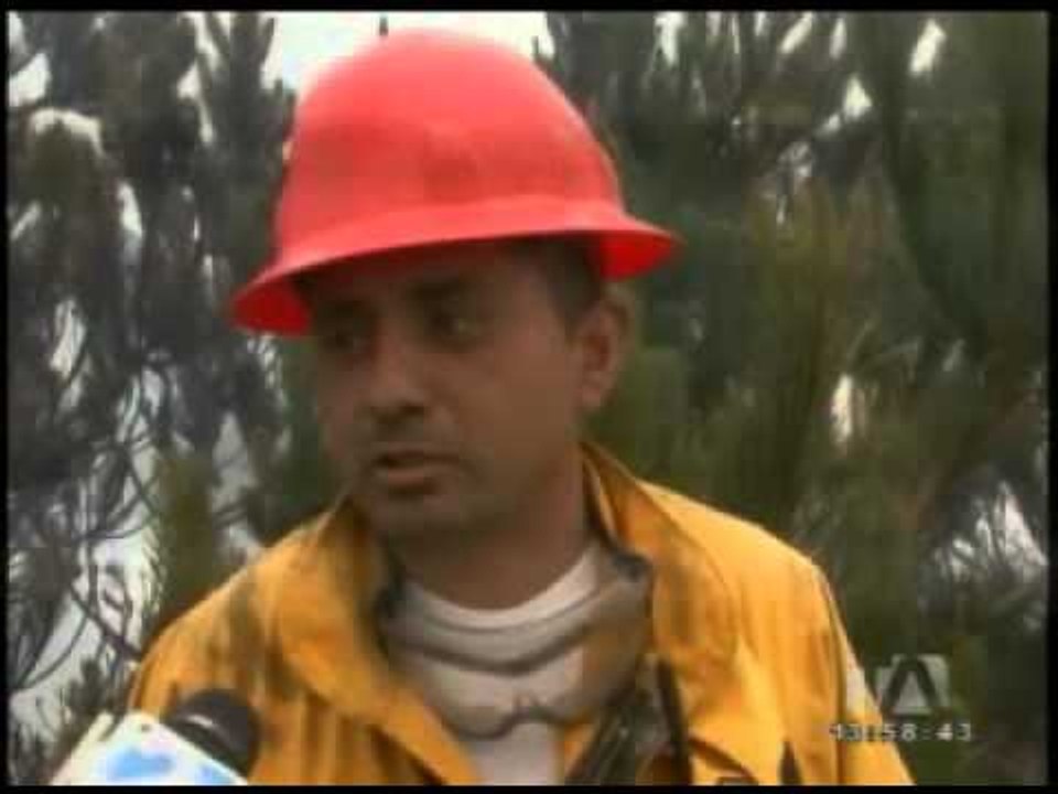 Incendio forestal consume cuarenta hectáreas de pajonales y bosque