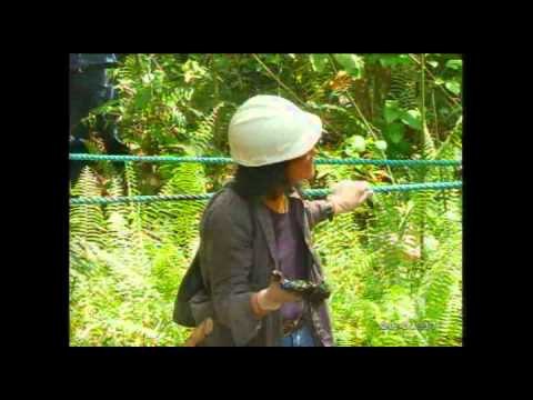 Luis Eduardo Aute Visitó el pozo 'Aguarico Cuatro' en Shushufindi