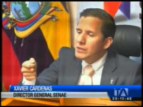 El Director General del Servicio de Aduanas responde a empresas de correos rápidos y couriers