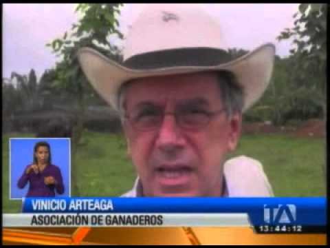 Ganaderos ecuatorianos creen poder satisfacer al mercado nacional con su oferta