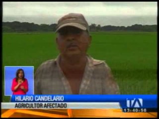 Lluvias afectan agro en Ecuador
